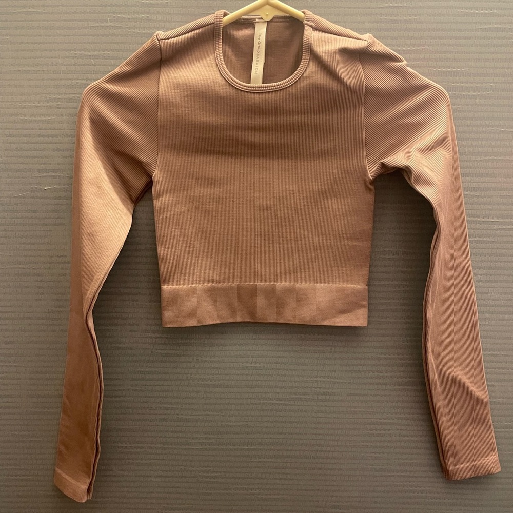 Aritzia Brown Long Sleeve Crop Top